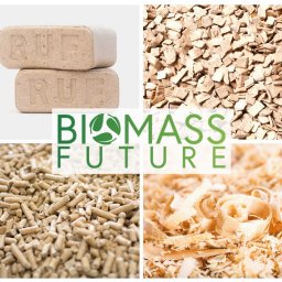 Biomass Future Adrain Kaliszak - Dostawca Pelletu Kwilcz