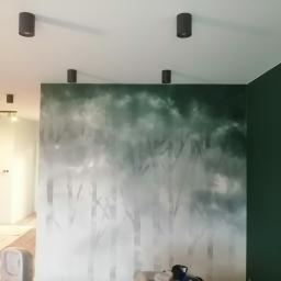 Usługi ogólno budowlane Sławomir gorzka. - Ściana z efektem malarskim imitującym las we mgle, kontrastująca z ciemnozieloną ścianą, oświetlona punktowymi lampami sufitowymi.