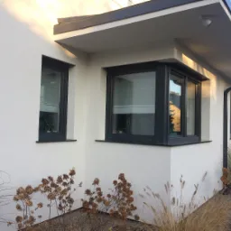 Nowoczesny dom z białymi ścianami i ciemnymi ramami okiennymi, widoczne rośliny w doniczkach za szybami, oraz uschnięte kwiatostany i trawy ozdobne na pierwszym planie.