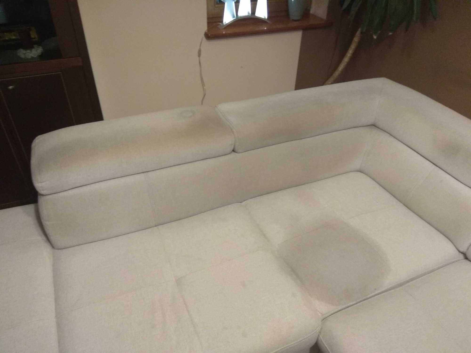 Jasna, narożna kanapa z widocznymi plamami na siedzisku i oparciu, sfotografowana w pomieszczeniu z meblami i rośliną doniczkową.