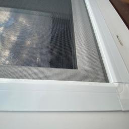 RolloTrans Paweł Kaźmierczak - Zamknięta, biała rama z siatką ochronną okna, widok z bliska na narożnik ramy, z widocznym odbiciem drzew na siatce.