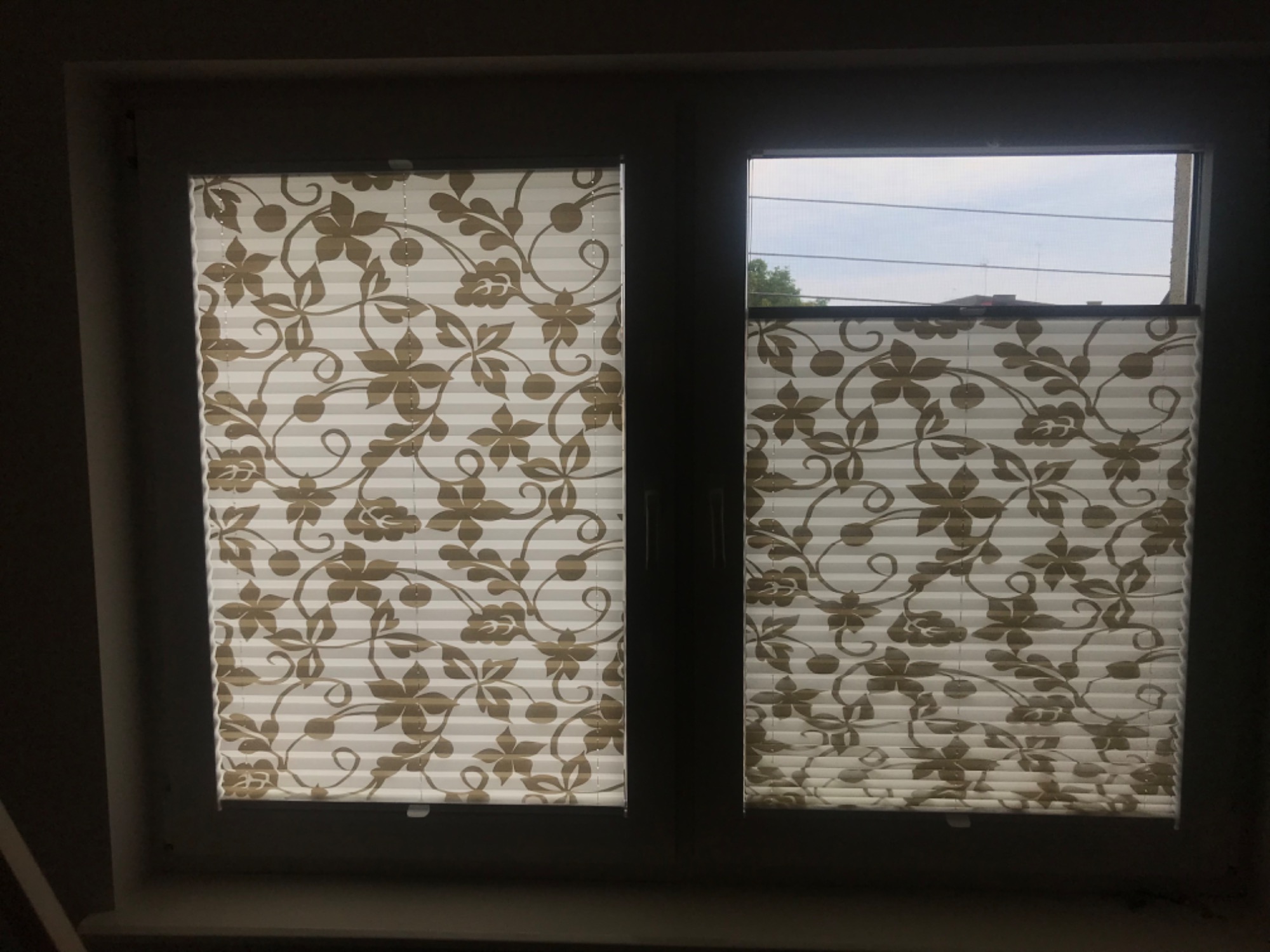 Dwuokienne okno z plisowanymi, beżowo-białymi roletami wewnętrznymi w kwiatowy wzór, częściowo zasłonięte, z widokiem na zewnątrz przez niezaciemnioną część okna.