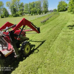 Czerwony traktor z żółtymi kołami tnący trawę na łące, widoczny świeżo skoszony pas trawy, w tle drzewa i ogrodzenie.