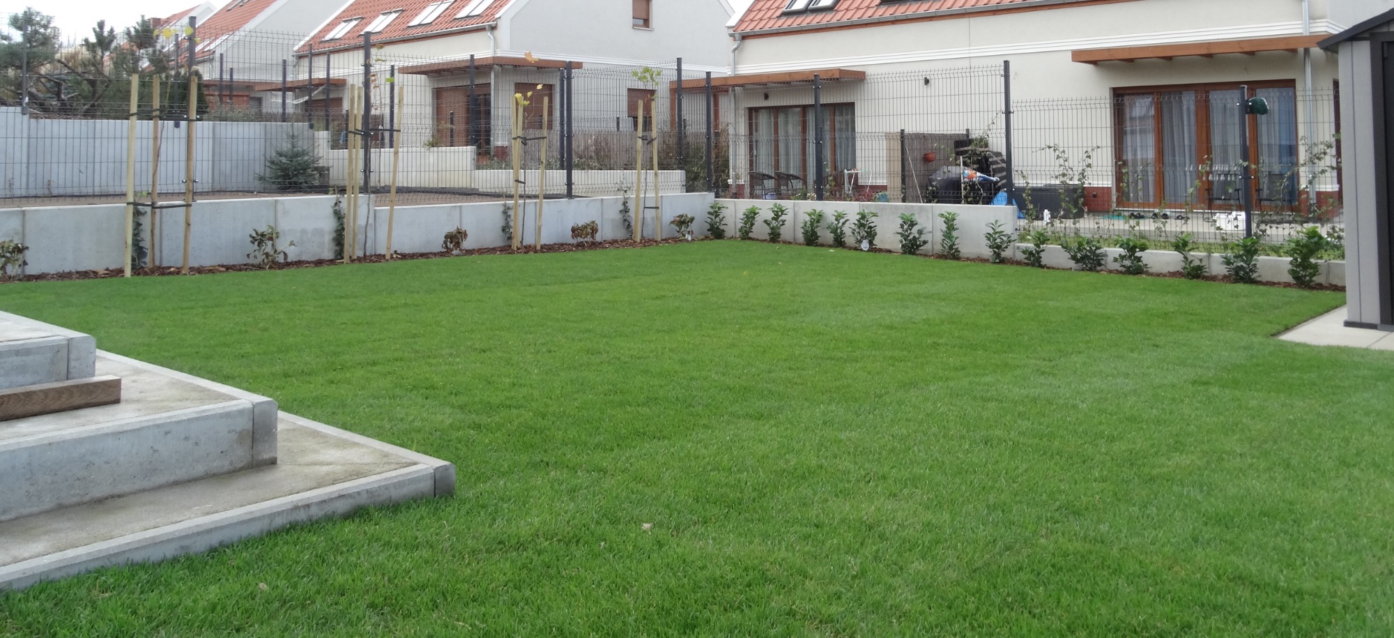 Świeżo założony trawnik z młodymi drzewkami podpartymi bambusowymi tyczkami, obrzeżami z kostki i niskimi krzewami wzdłuż ogrodzenia panelowego, w tle domy jednorodzinne z czerwonymi dachami.