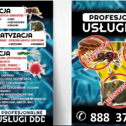 Grafika reklamowa usług DDD: dezynsekcja, deratyzacja i dezynfekcja, z ilustracjami owadów, gryzoni i wirusów oraz numerem telefonu.