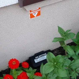 Deratyzacja Restauracji