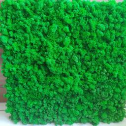 Mossy