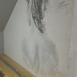 Gładzie Dąbrówki 1