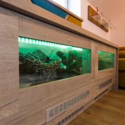 Terrarium dla pytona w salonie