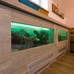 Terrarium dla pytona w salonie