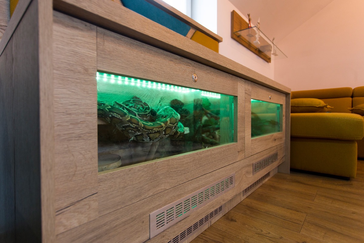 Terrarium dla pytona w salonie