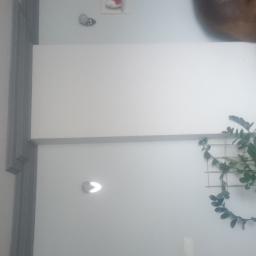 Piotr Grochola - Świeżo wyszpachlowana, biała ściana z widocznym narożnikiem, oświetleniem punktowym i rośliną doniczkową na tle kratki.