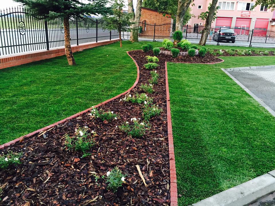 Starannie zaprojektowany ogród z równo przystrzyżonym trawnikiem, rabatami wysypanymi korą i niskimi roślinami kwitnącymi na biało, oddzielonymi czerwoną cegłą, oraz ozdobnym metalowym ogrodzeniem...