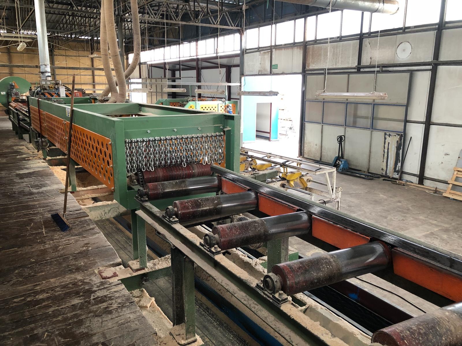 Linia produkcyjna w tartaku z zieloną obudową, łańcuchami i rolkami transportującymi drewno, widoczne trociny na podłodze i elementy konstrukcji hali.