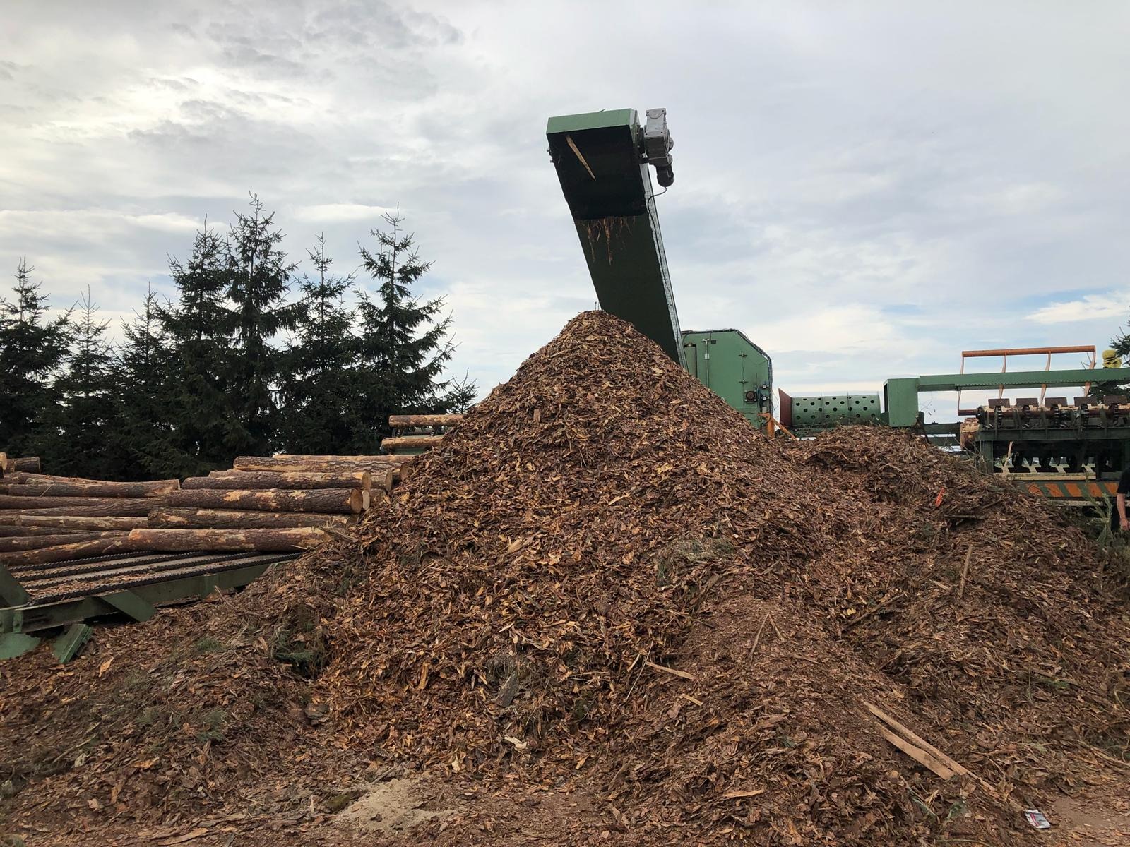 Duży pryzmat brązowych zrębków drzewnych przed zieloną maszyną do ich produkcji i stosem pni drzew na tle pochmurnego nieba.