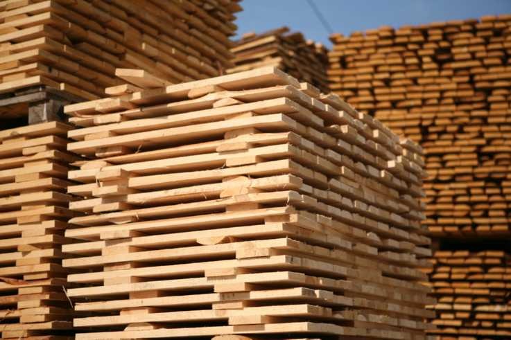Stosy świeżo przetartego drewna ułożone na paletach, widoczne słoje i naturalna barwa, w tle kolejne stosy i błękitne niebo.