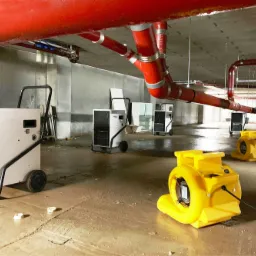 Osuszanie po zalaniu