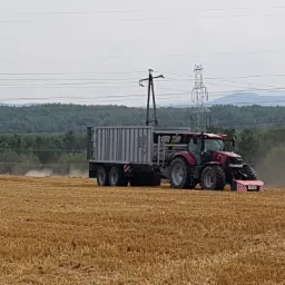 Czerwony traktor z przyczepą na polu po żniwach, w tle las i słupy wysokiego napięcia.