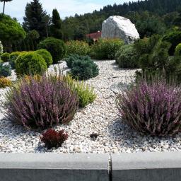 Pielęgnacja ogrodów Domaszków 1