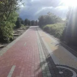 Ścieżka rowerowa z czerwonej kostki brukowej, z pasem z jasnej kostki i wzorami, otoczona zielenią i drzewami w słoneczny dzień.