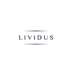 LIVIDUS - Fantastyczna Instalacja Kamer Sochaczew