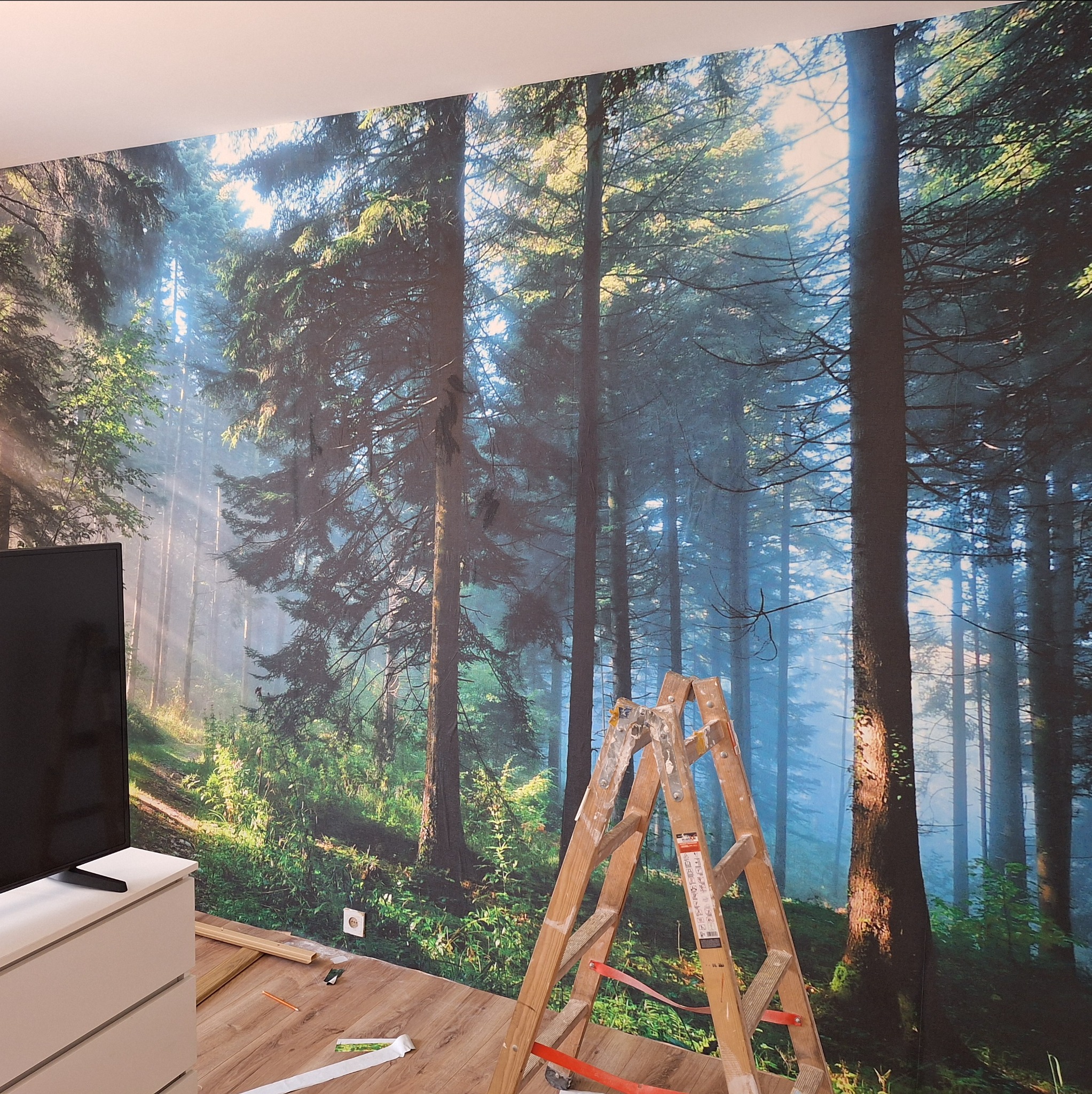 Ściana z fototapetą przedstawiającą leśny krajobraz, drabina oparta o ścianę, widoczne narzędzia i listwy przypodłogowe na podłodze, szafka RTV z telewizorem w rogu pokoju.