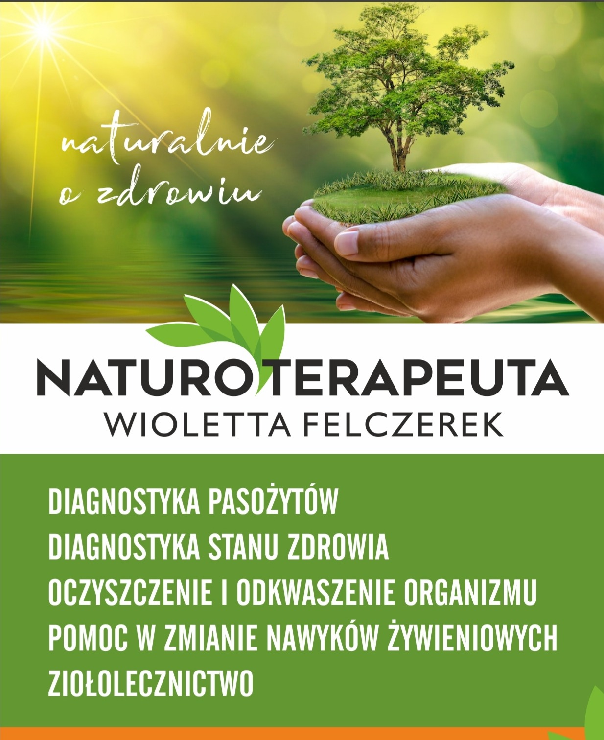 Grafika reklamowa: Dłonie trzymające miniaturowe drzewo na tle zieleni, napis 'naturalnie o zdrowiu', nazwa 'NATUROTERAPEUTA Wioletta Felczerek' oraz lista usług: diagnostyka pasożytów, diagnostyka...