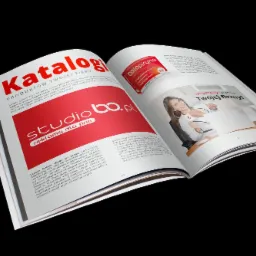 Rozkładówka magazynu reklamowego z hasłem 'Katalog produktów Twojej Firmy', prezentująca przykładowe reklamy i logo 'studiobo.pl', z kobietą wskazującą na laptopa w sekcji 'Ulepszymy sylwetkę...