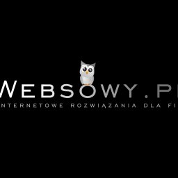 Websowy pl - Reklama w Google Zabrze