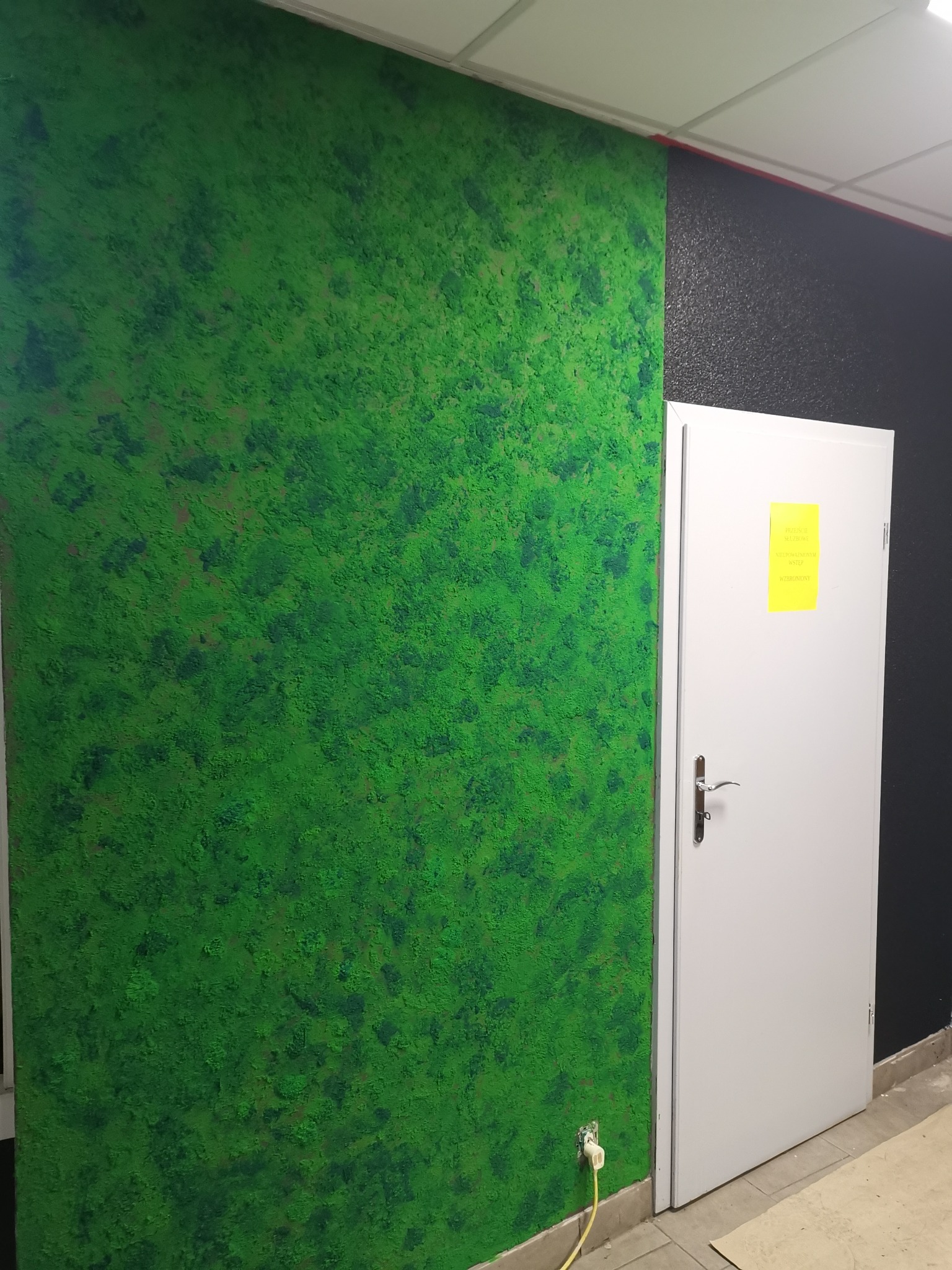 Ściana z zieloną, strukturalną farbą dekoracyjną sąsiadująca z białą ścianą i drzwiami z żółtą kartką.