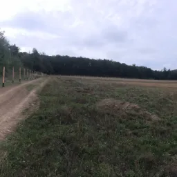 Długa siatka ogrodzeniowa z drewnianymi słupkami, ustawiona wzdłuż polnej drogi, prowadząca w kierunku lasu i wzgórz w oddali.