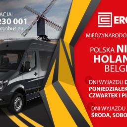 Ergobus Busy Polska Anglia - Transport międzynarodowy do 3,5t Zamość