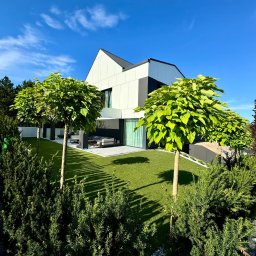 A-Z Ogród Damian Mroch - Nowoczesny dom z zadbanym ogrodem: równo przystrzyżona trawa, kuliste drzewa i ozdobne krzewy. Słoneczny dzień, błękitne niebo z delikatnymi chmurami.