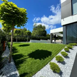 Nowoczesny ogród z równo przystrzyżonym trawnikiem, ozdobnymi drzewami i białymi kamieniami. Architektura budynku w tle. Słoneczny dzień, błękitne niebo.