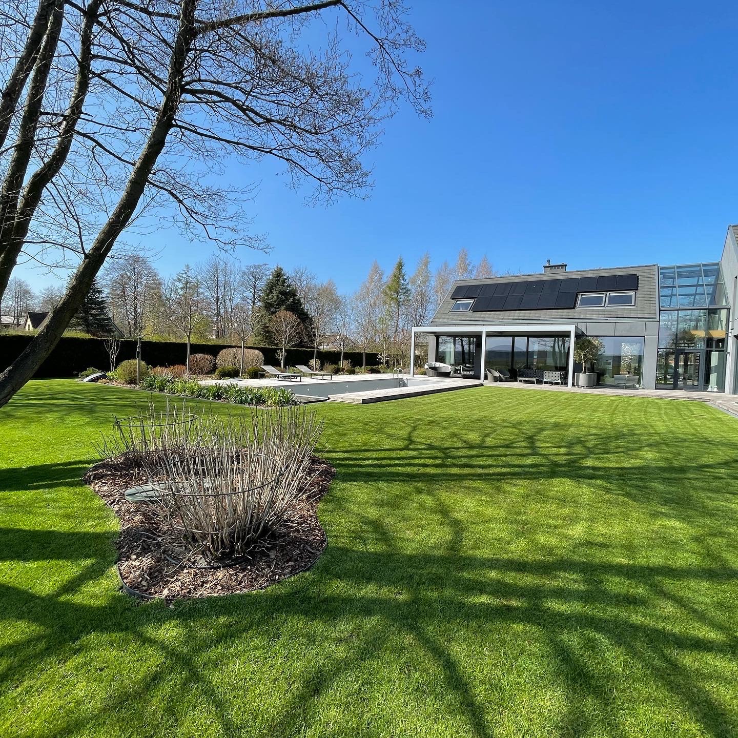 Rozległy, zadbany trawnik przed nowoczesnym domem z panelami słonecznymi, widoczny basen i starannie przycięte krzewy, cień drzewa na trawie.
