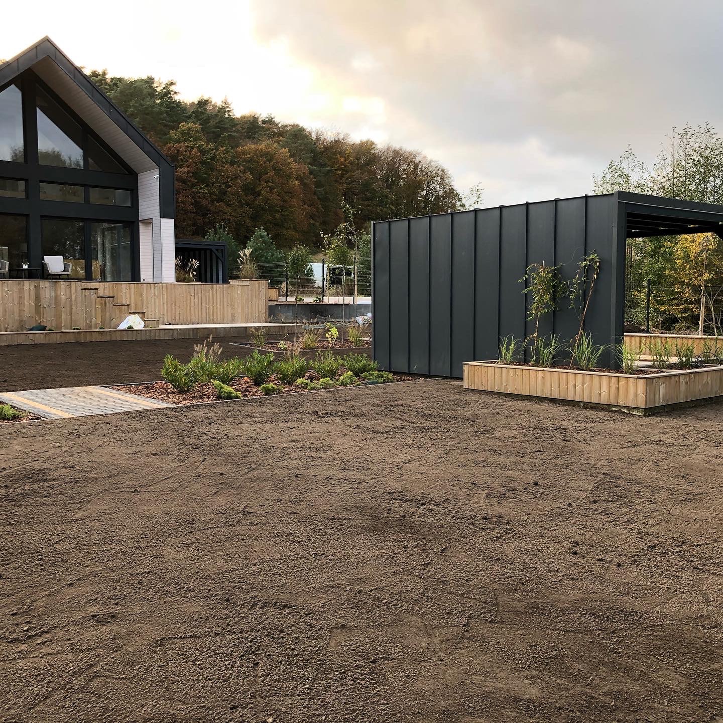 Przygotowany teren pod trawnik z rolki przed nowoczesnym domem z widokiem na las, widoczne rabaty z roślinami i ścieżka z kostki brukowej.