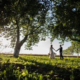 Sesja rodzinna Chróścina 2