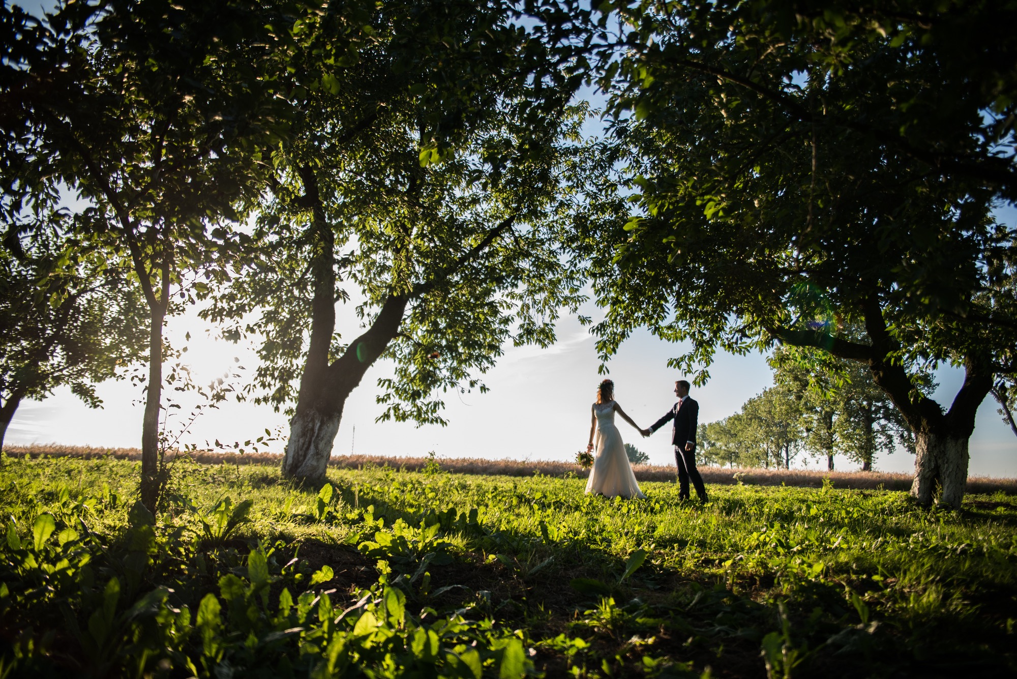 Para młoda trzymająca się za ręce stoi na zielonej łące pod rozłożystymi drzewami w słoneczny dzień, z widocznym zbożem w tle.