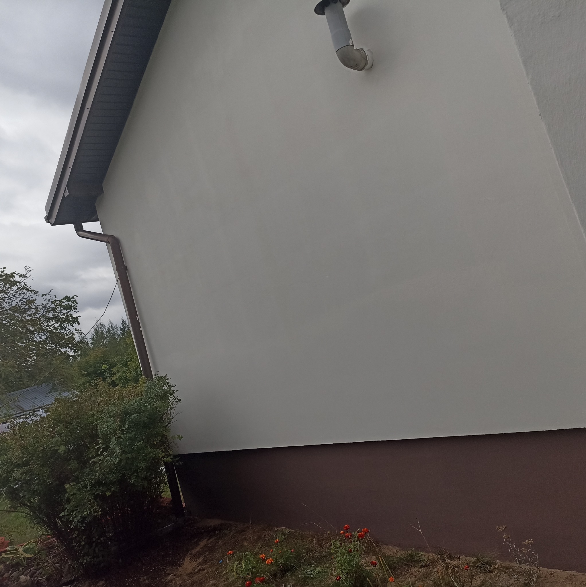 Ściana budynku po świeżym pomalowaniu na jasny kolor, widoczny fragment dachu, rynna i krzewy. Dolna część ściany w kolorze brązowym.