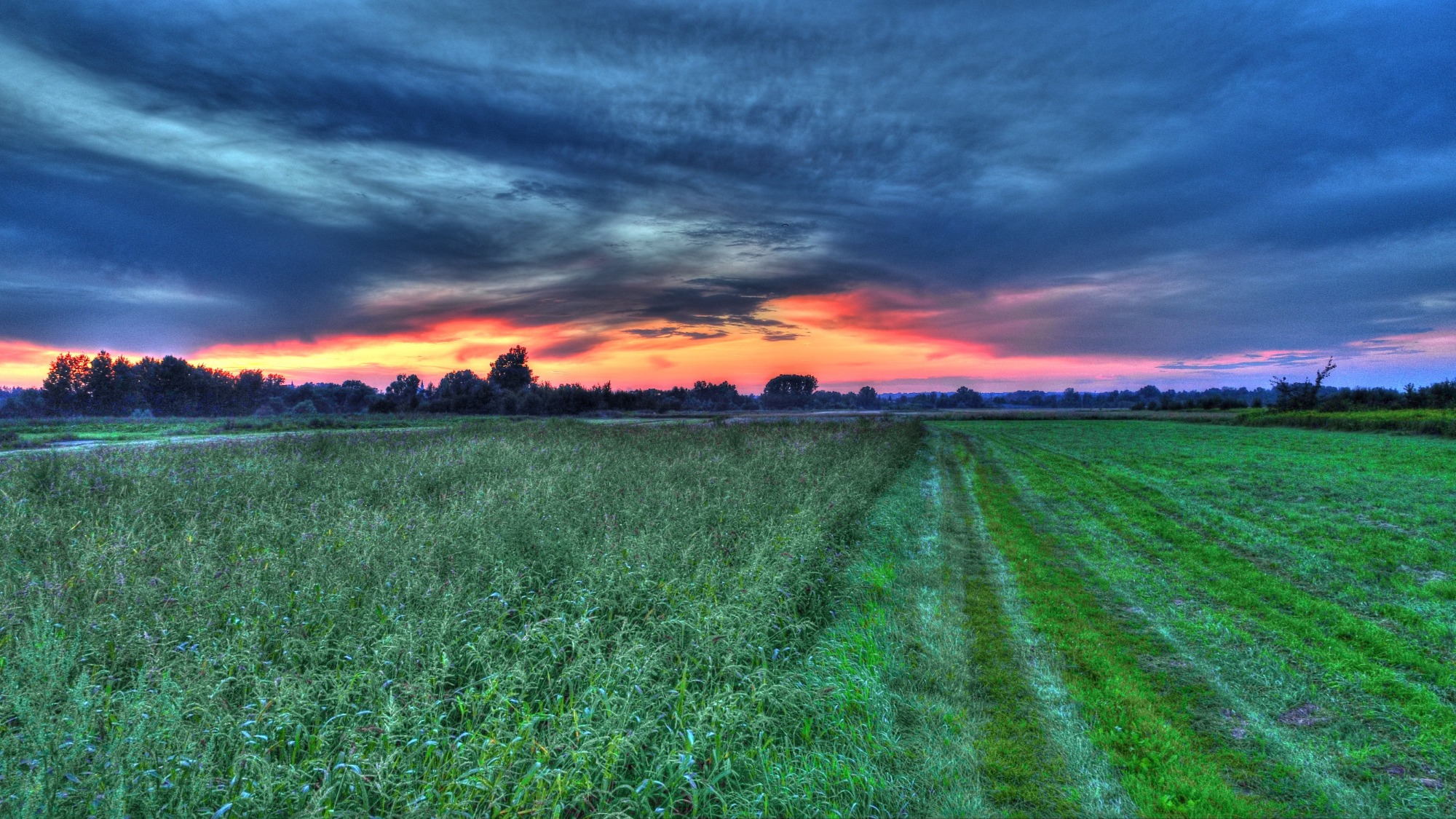 Szeroki kadr na łąkę o zmierzchu z widocznymi śladami opon, ciemne chmury na niebie z pomarańczową poświatą zachodzącego słońca.