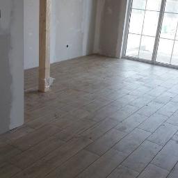 dragon - Naciągany Sufit Zielona Góra