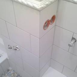 Glazurnik Zielona Góra 4