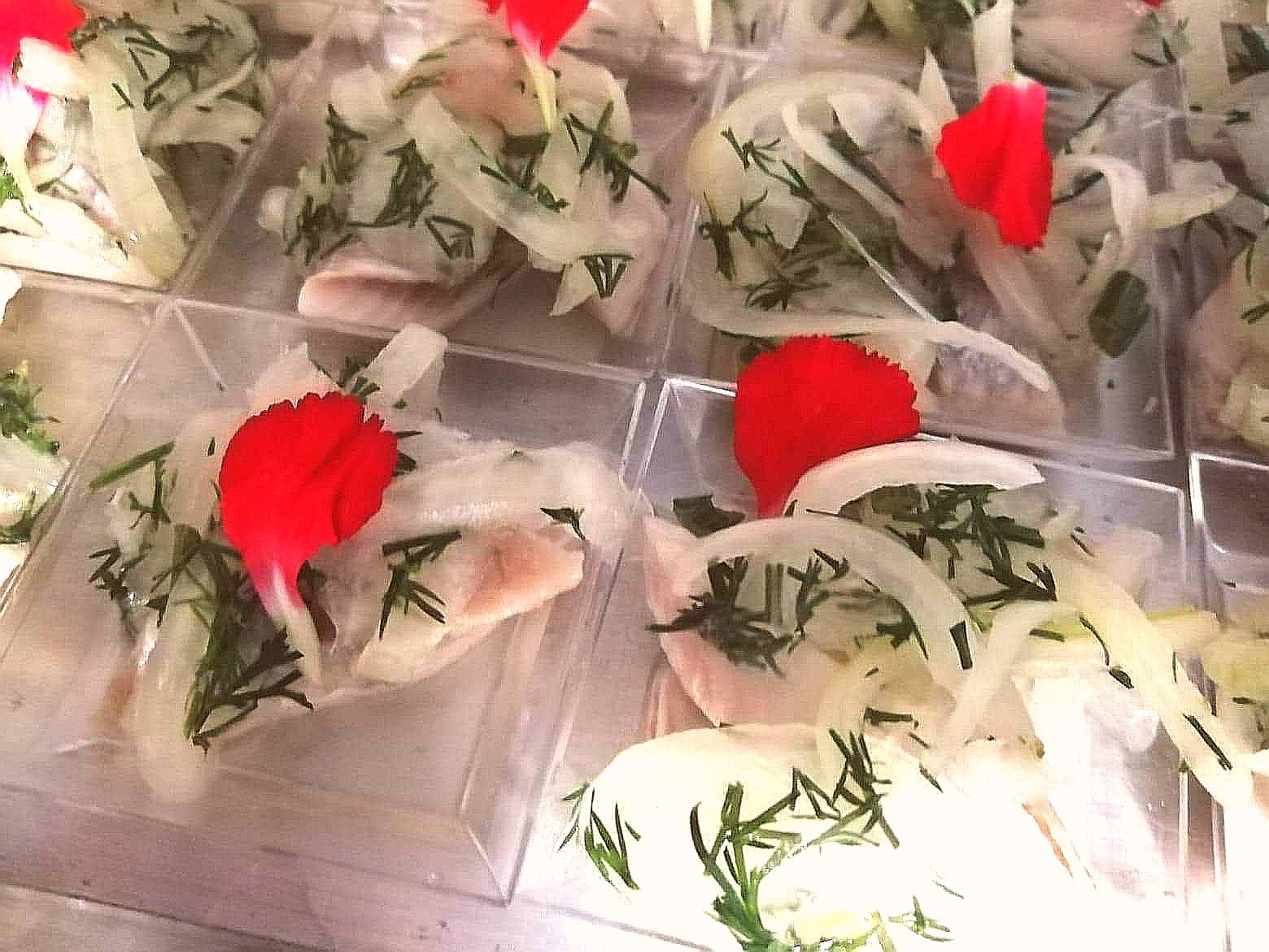 Porcje śledzia w galarecie z cebulą i koperkiem, udekorowane płatkiem czerwonego kwiatu, podane w przezroczystych, kwadratowych pojemnikach.