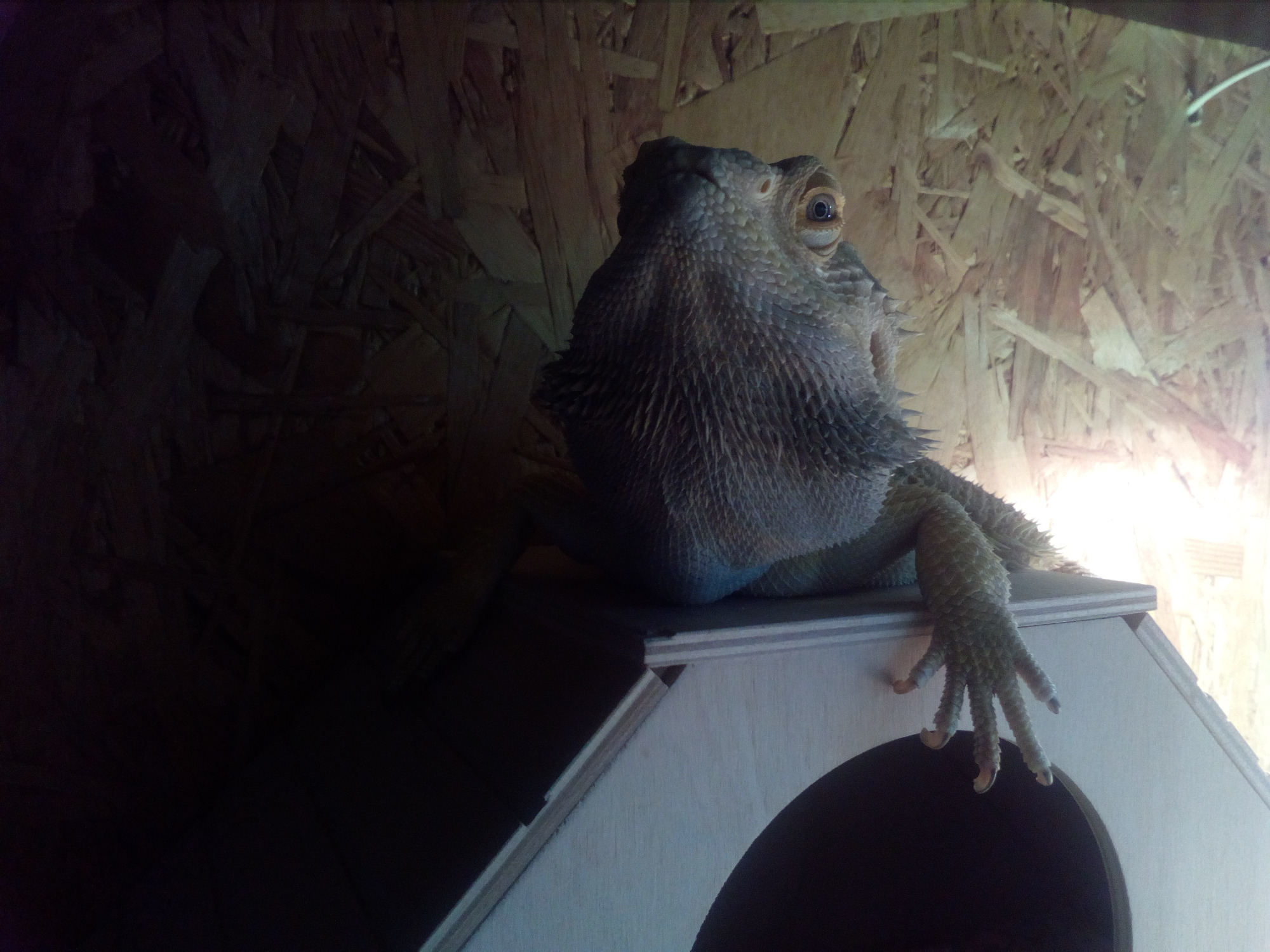 Dziękujemy za Zaufanie, Zapraszamy