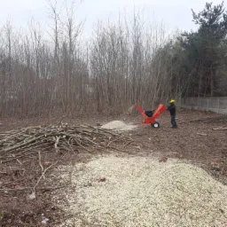 Mężczyzna w żółtym kasku obsługuje czerwoną rębarkę do gałęzi, tworzącą pryzmę zrębków na terenie po wycince drzew, z widocznymi pniami i stertą gałęzi w tle.