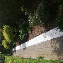 Ogród z ścieżką z kostki brukowej, obok której wysypano białe kamienie i korę drzewną, w tle krzewy i drzewa.