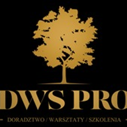 DWS Pro - Programista Baz Danych Rzeszów