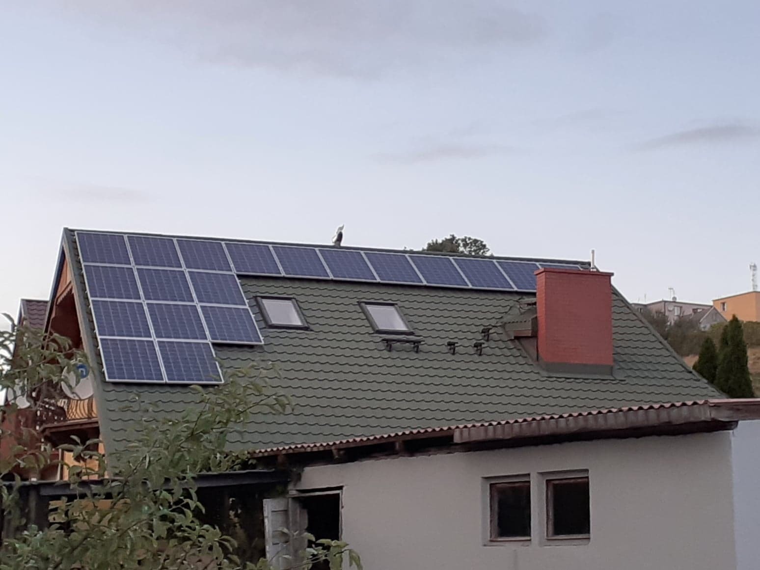 Panele słoneczne na zielonym dachu domu jednorodzinnego, z kominem i oknami dachowymi, z bocianem siedzącym na jednym z paneli.