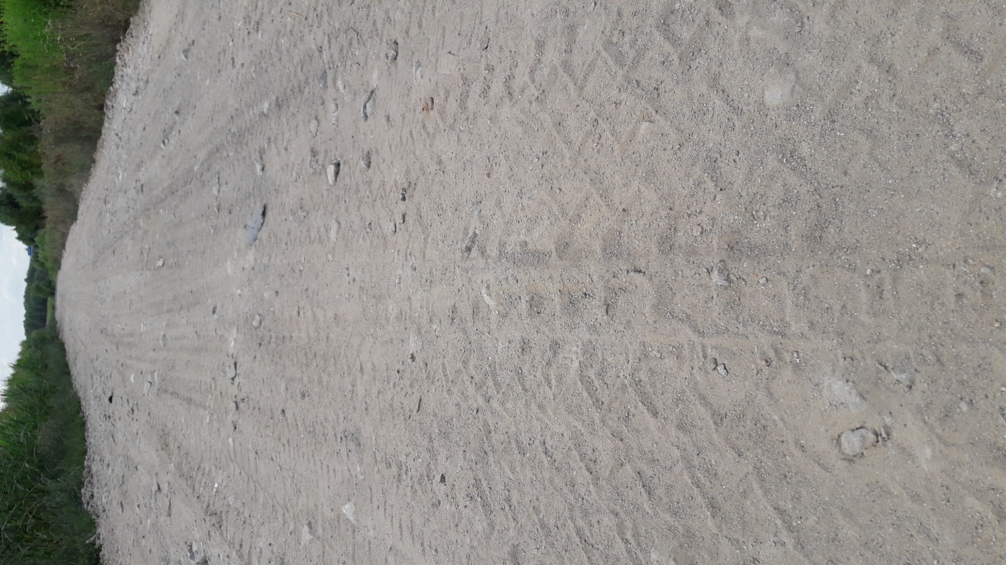 Polna droga gruntowa z widocznymi śladami opon, otoczona zielenią po bokach, perspektywa w głąb kadru.