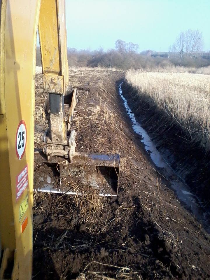Żółta koparka podczas tworzenia rowu melioracyjnego na zarośniętym polu, widoczny rów wypełniony wodą, tło stanowią drzewa i krzewy pod bezchmurnym niebem.